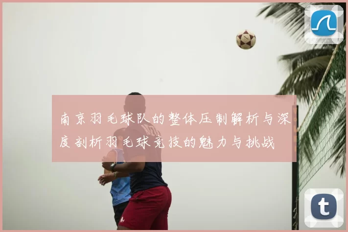 南京羽毛球队的整体压制解析与深度剖析羽毛球竞技的魅力与挑战