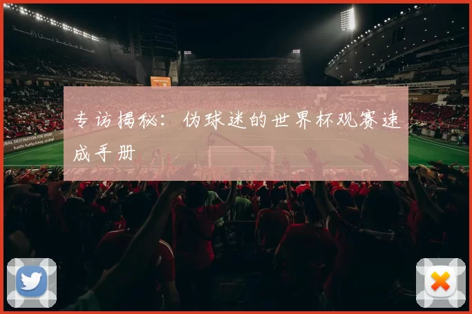 专访揭秘：伪球迷的世界杯观赛速成手册