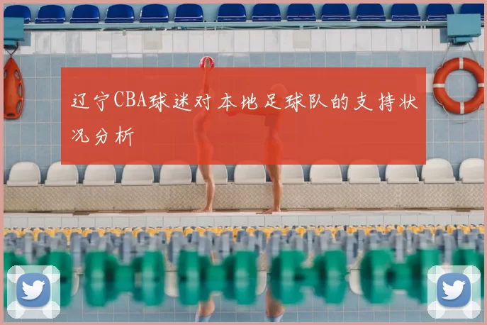 辽宁CBA球迷对本地足球队的支持状况分析