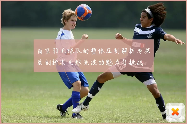 南京羽毛球队的整体压制解析与深度剖析羽毛球竞技的魅力与挑战