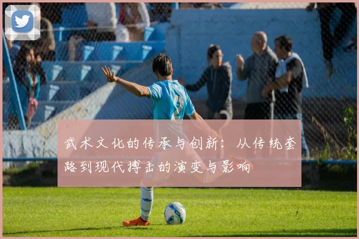 武术文化的传承与创新：从传统套路到现代搏击的演变与影响