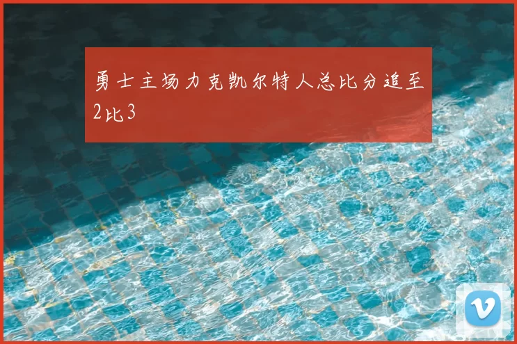 勇士主场力克凯尔特人总比分追至2比3