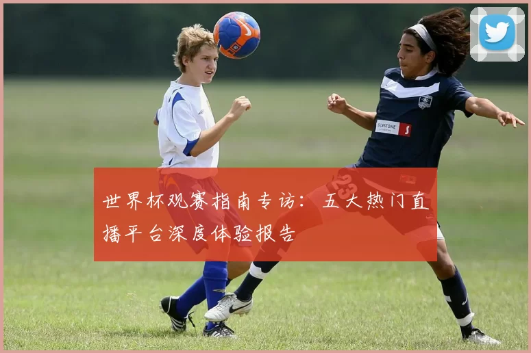 世界杯观赛指南专访:五大热门直播平台深度体验报告