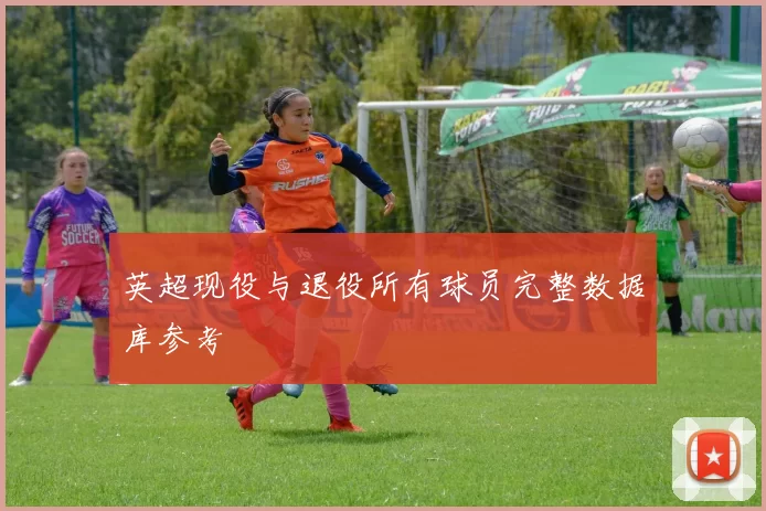 英超现役与退役所有球员完整数据库参考