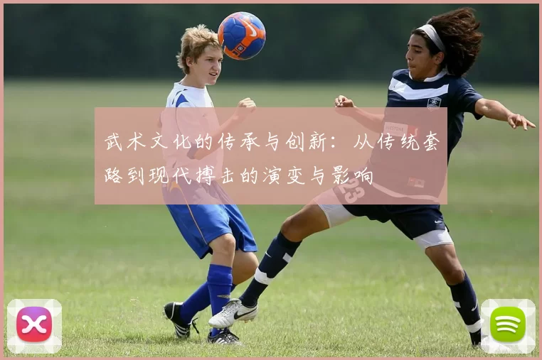 武术文化的传承与创新：从传统套路到现代搏击的演变与影响