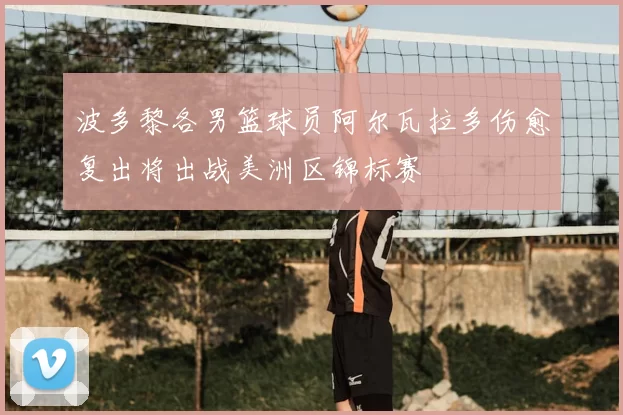 波多黎各男篮球员阿尔瓦拉多伤愈复出将出战美洲区锦标赛