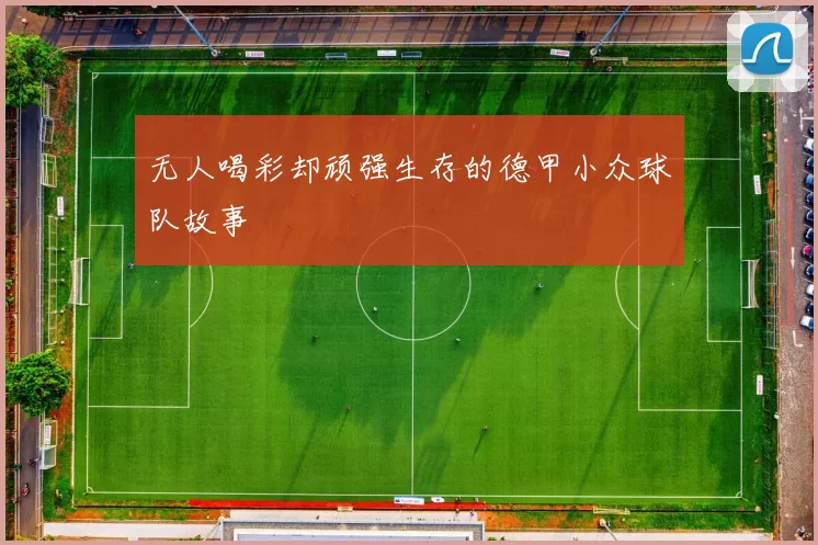 无人喝彩却顽强生存的德甲小众球队故事