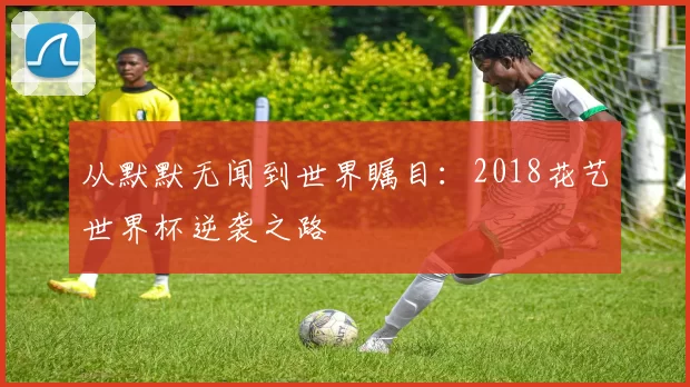 从默默无闻到世界瞩目：2018花艺世界杯逆袭之路