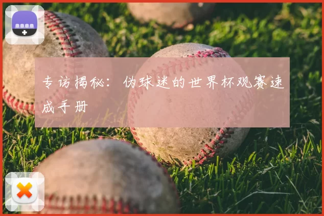 专访揭秘：伪球迷的世界杯观赛速成手册