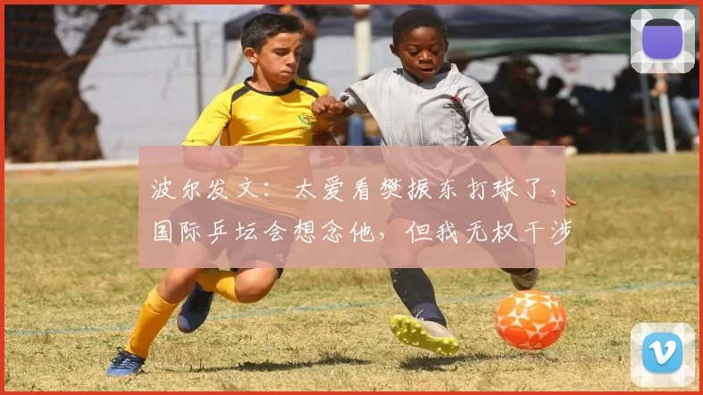 波尔发文：太爱看樊振东打球了，国际乒坛会想念他，但我无权干涉
