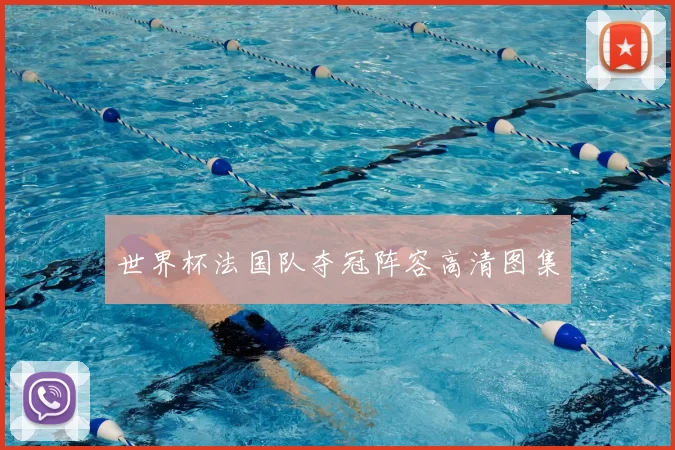 世界杯法国队夺冠阵容高清图集
