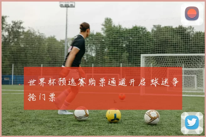 世界杯预选赛购票通道开启 球迷争抢门票