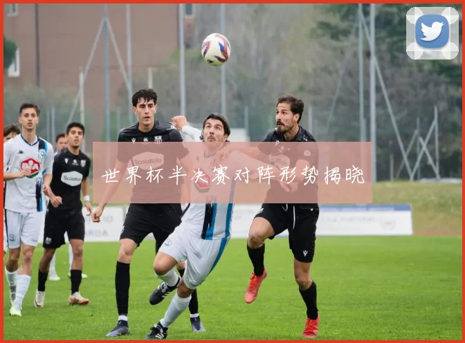 世界杯半决赛对阵形势揭晓