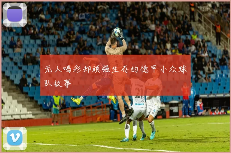 无人喝彩却顽强生存的德甲小众球队故事