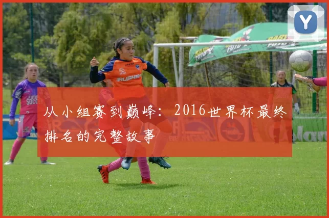 从小组赛到巅峰:2016世界杯最终排名的完整故事