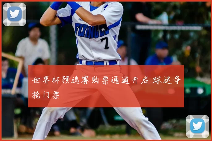 世界杯预选赛购票通道开启 球迷争抢门票