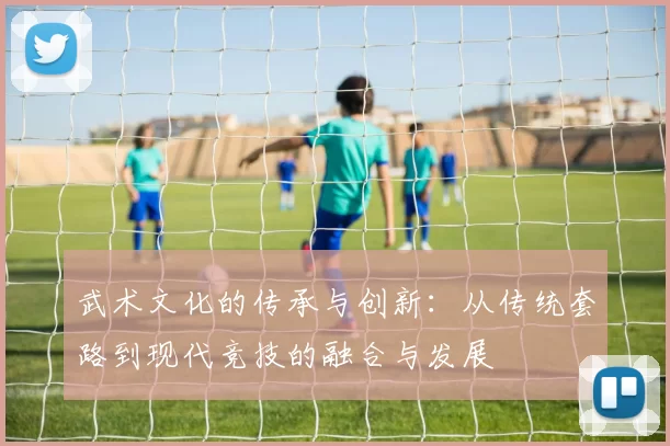 武术文化的传承与创新：从传统套路到现代竞技的融合与发展